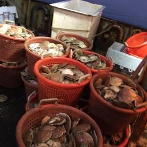 Meet your Posher, Jayden